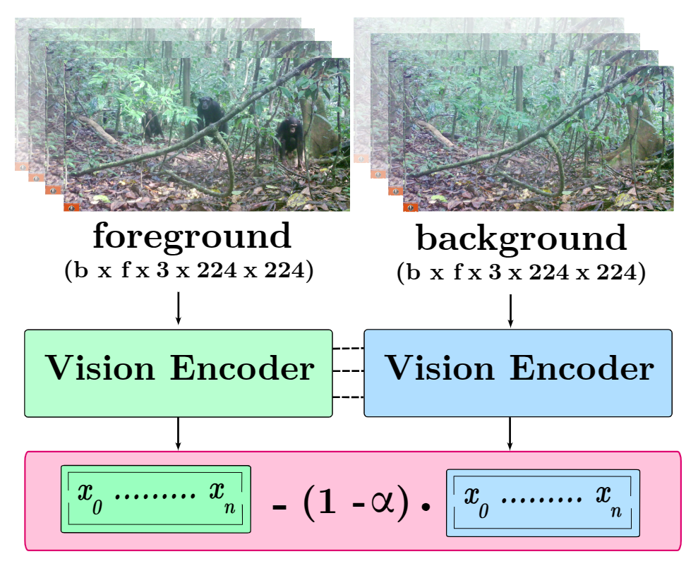 The PanAf-FGBG Dataset: Understanding the Impact of Backgrounds in Wildlife Behaviour Recognition