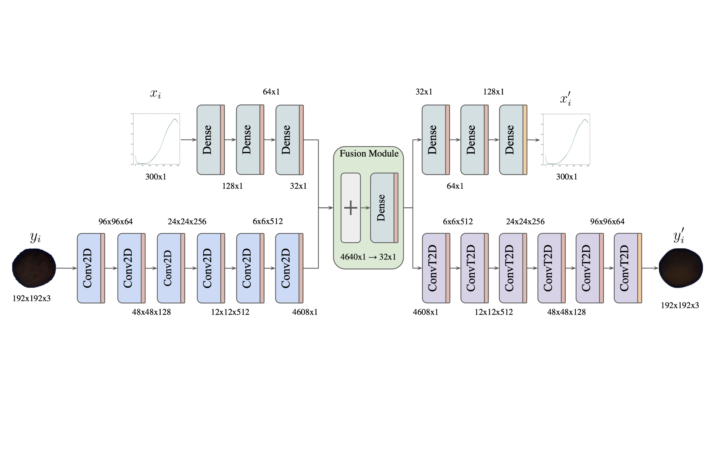 BiCAE – A Bimodal Convolutional Autoencoder for Seed Purity Testing